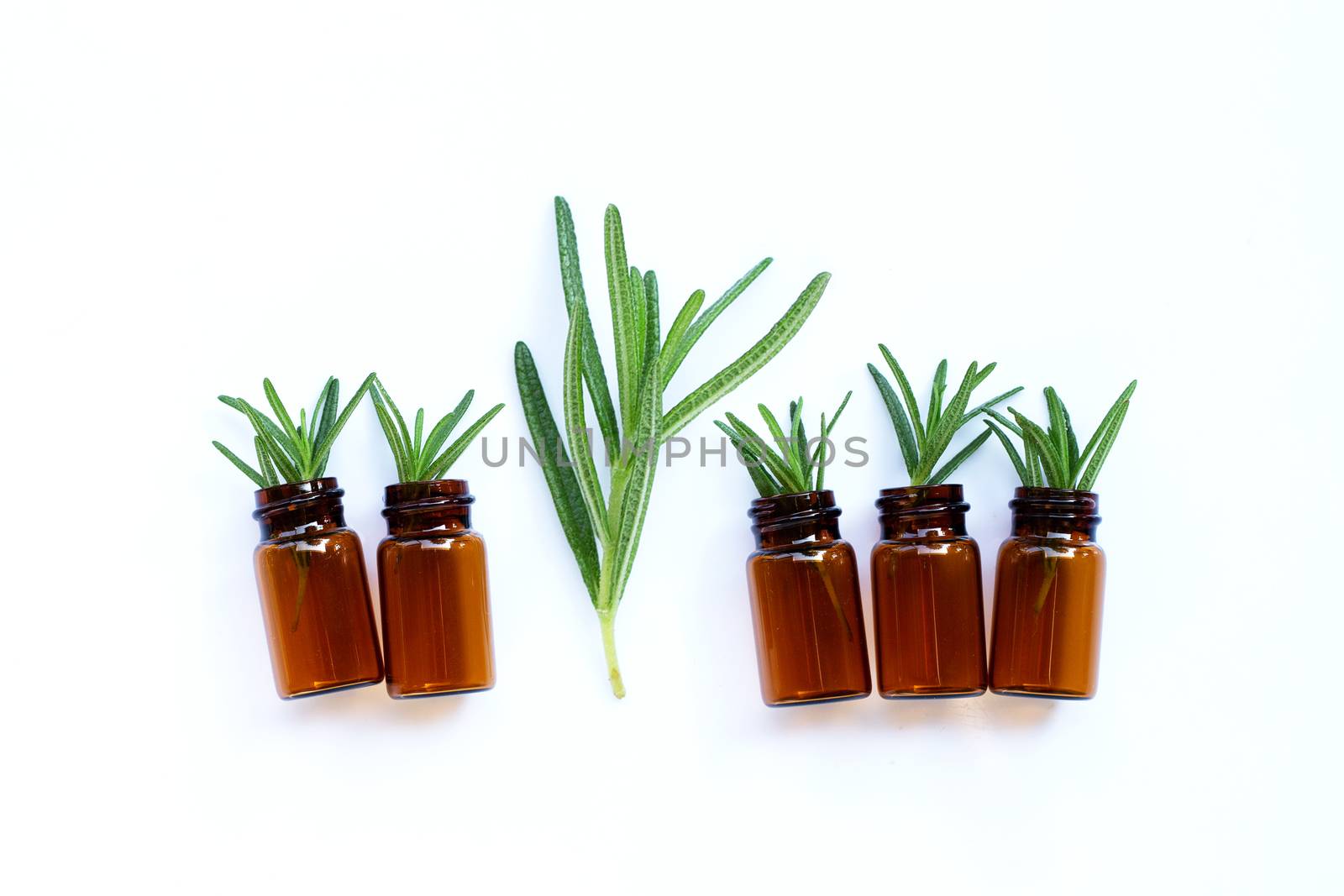 Rosemary leaves with essential oil bottles on white background. 