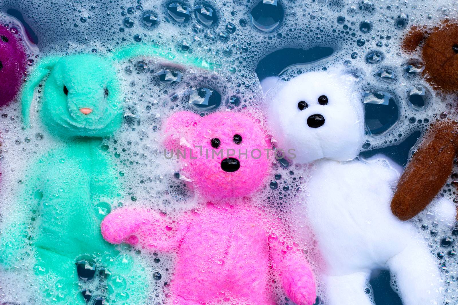 Soak rabbit doll with  toy teddy bear in laundry detergent water dissolution before washing.  Laundry concept, Top view