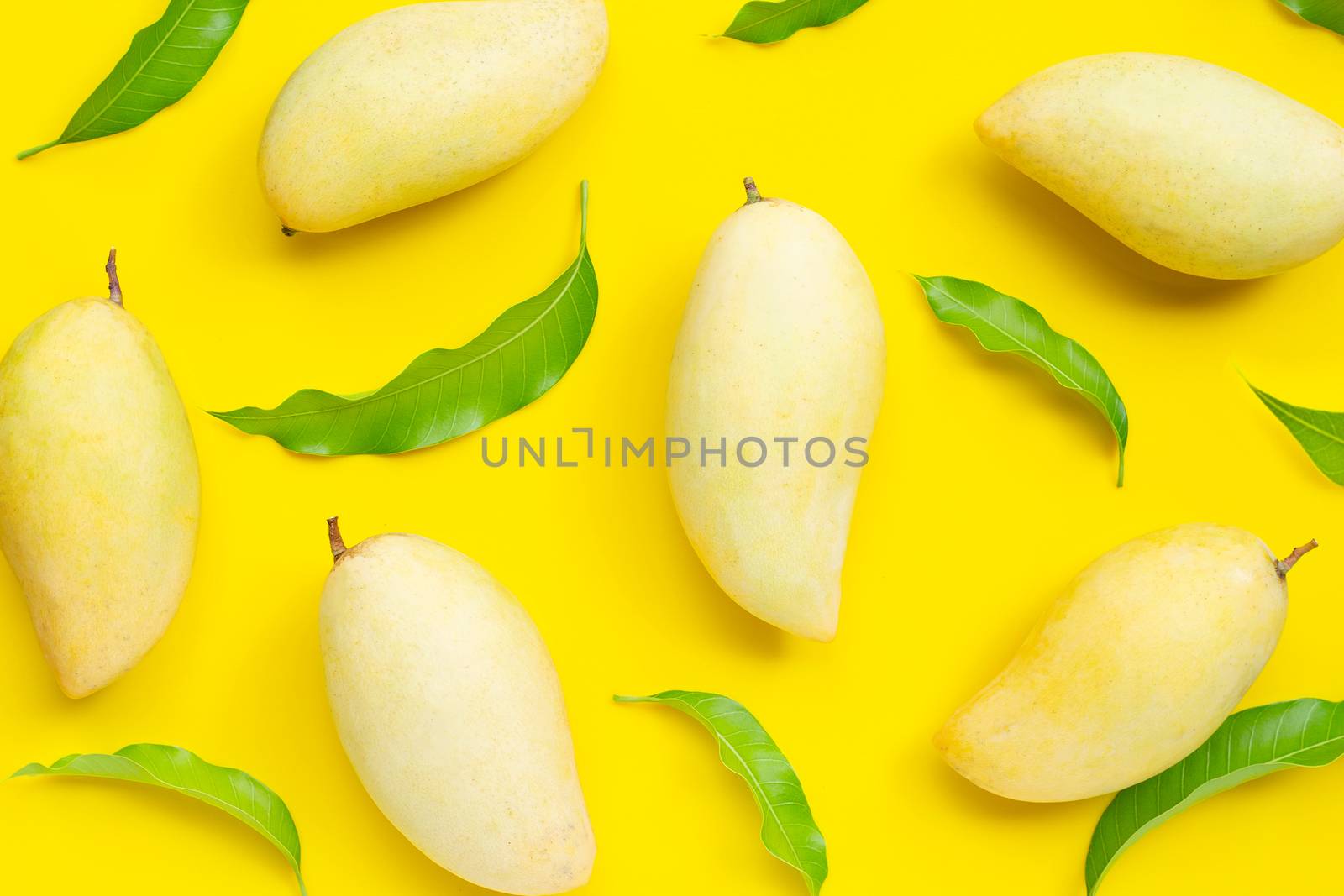Tropical fruit, Mango  on yellow background. Top view