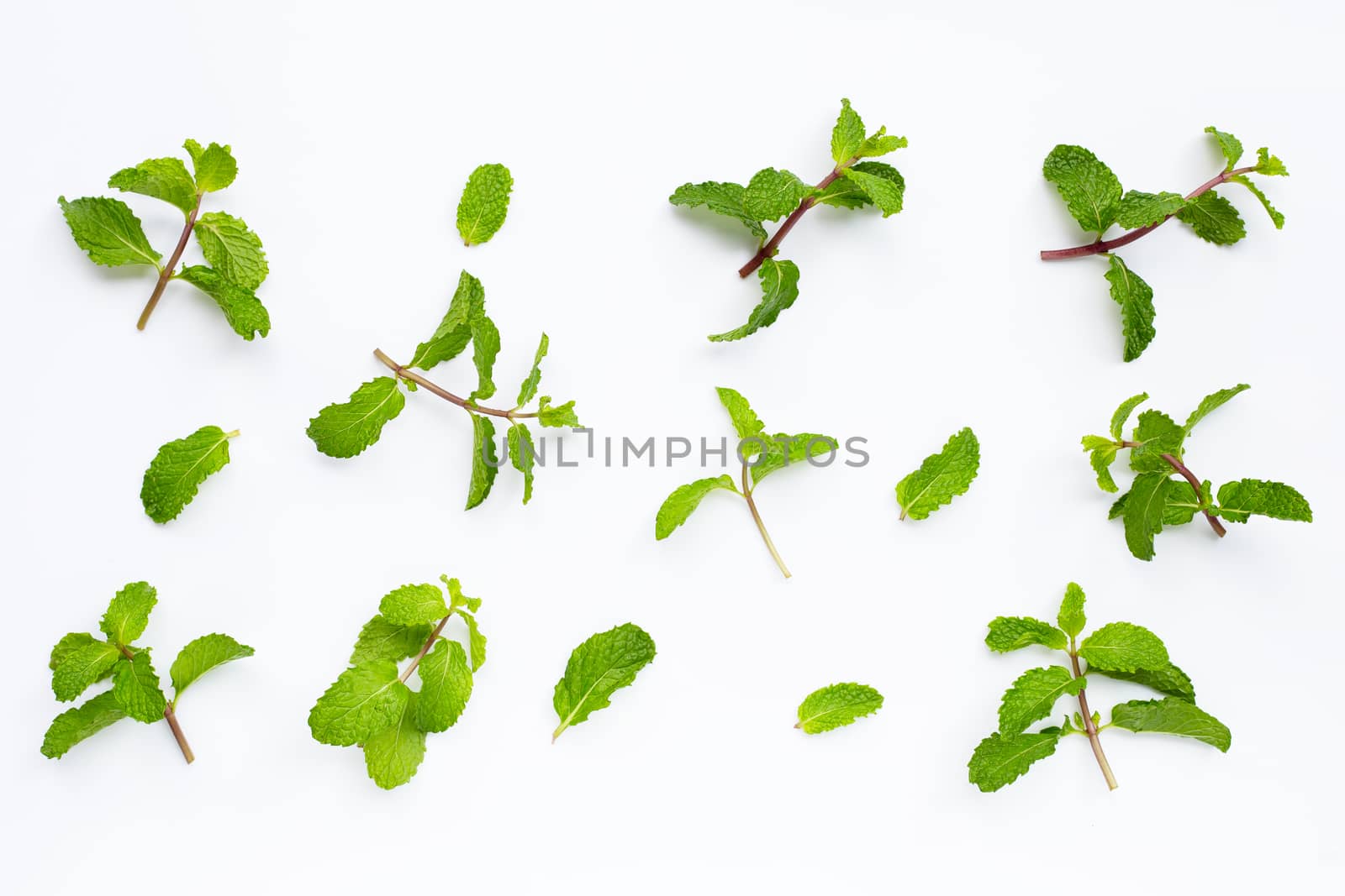 Mint leaves on white background. Top view