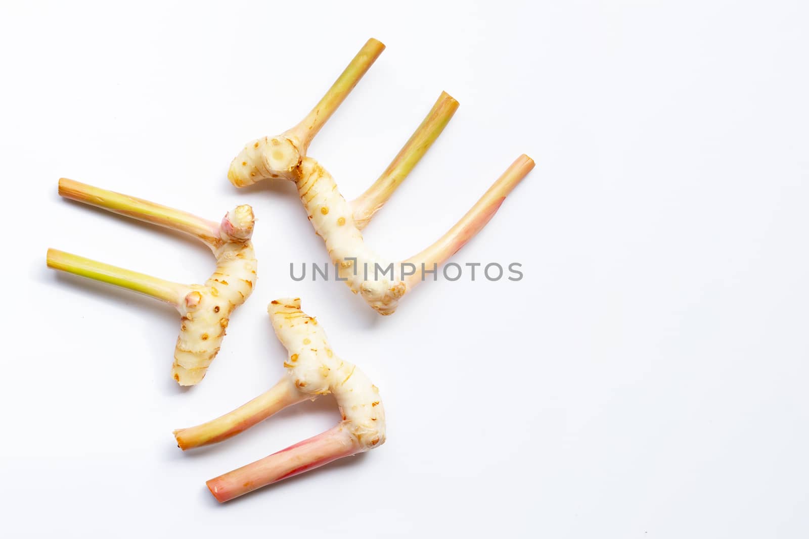 Fresh galangal isolated on white background.