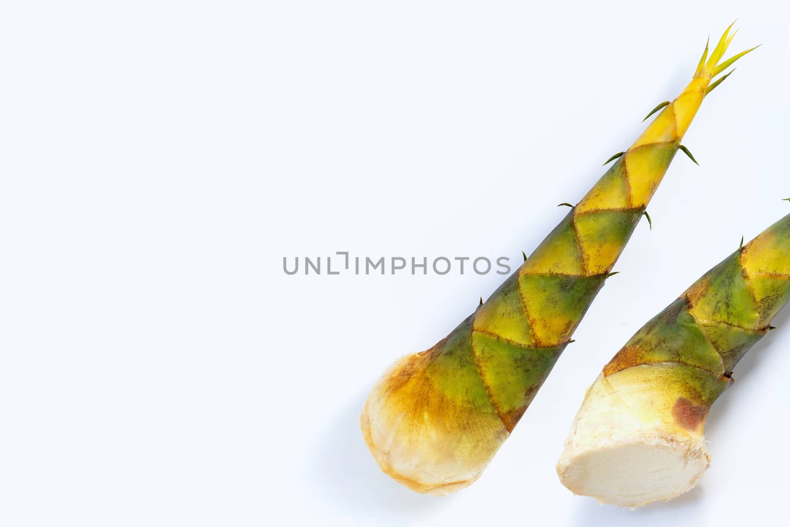 Fresh bamboo shoots on white background.