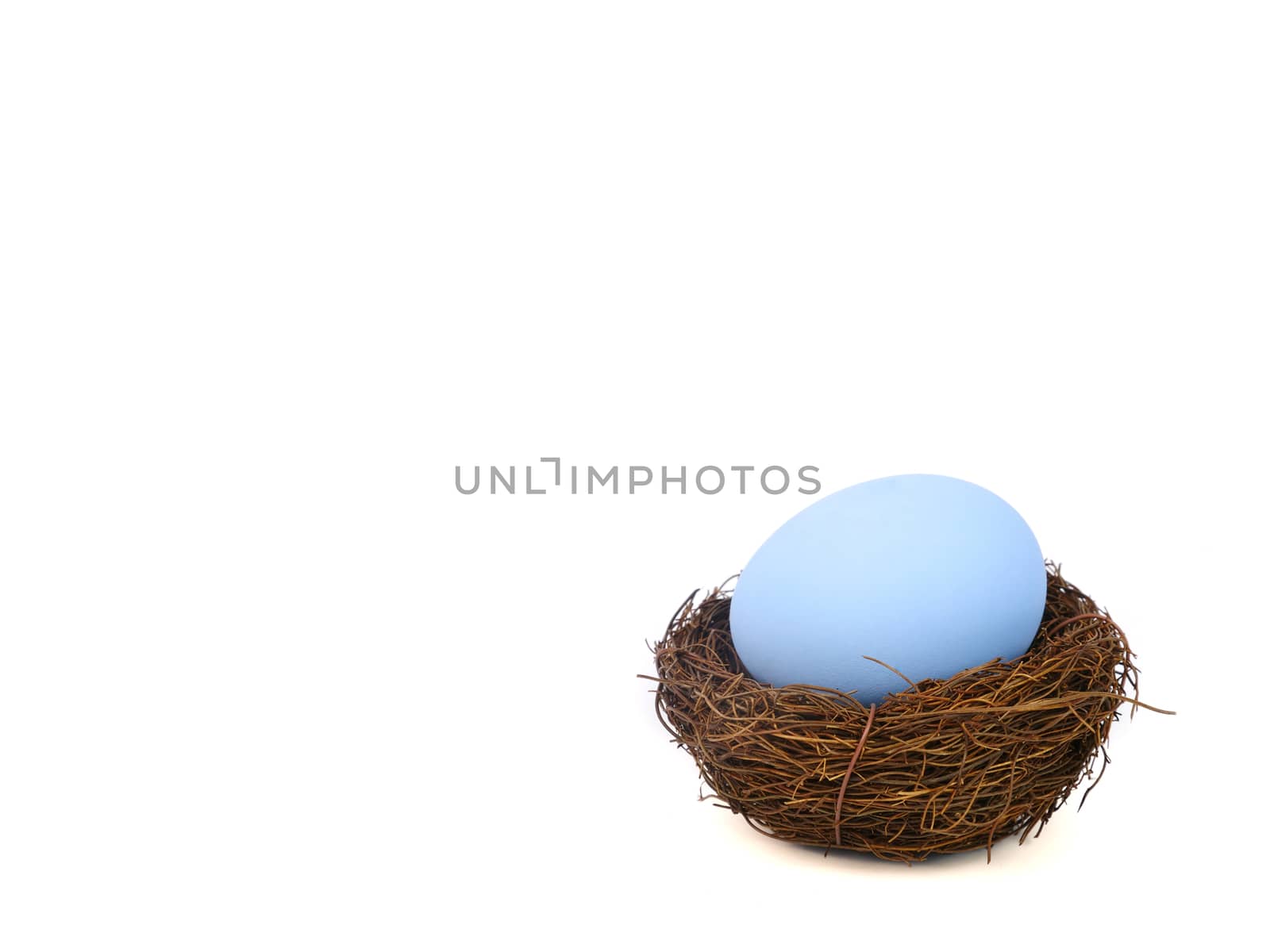 pale blue easter egg in a bird nest, isolated on white backgound