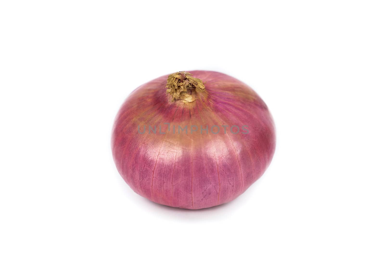 fresh single purple onion , isolated on white background