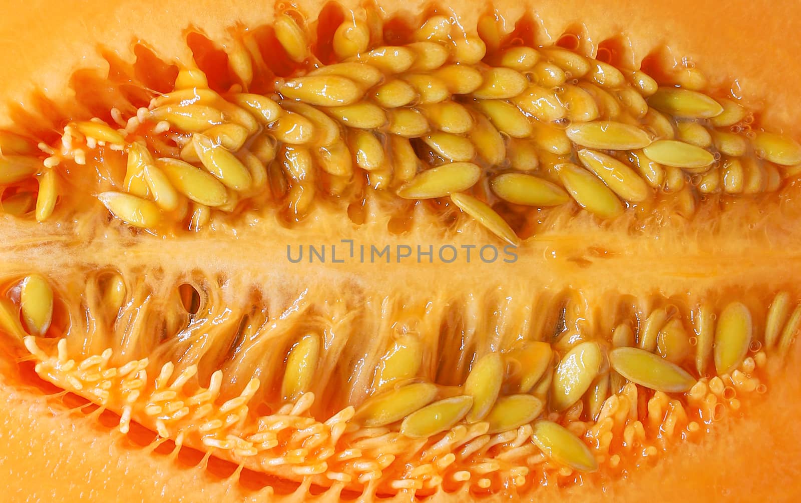 close up of halved ripe cantaloupe showing rows of juicy seeds