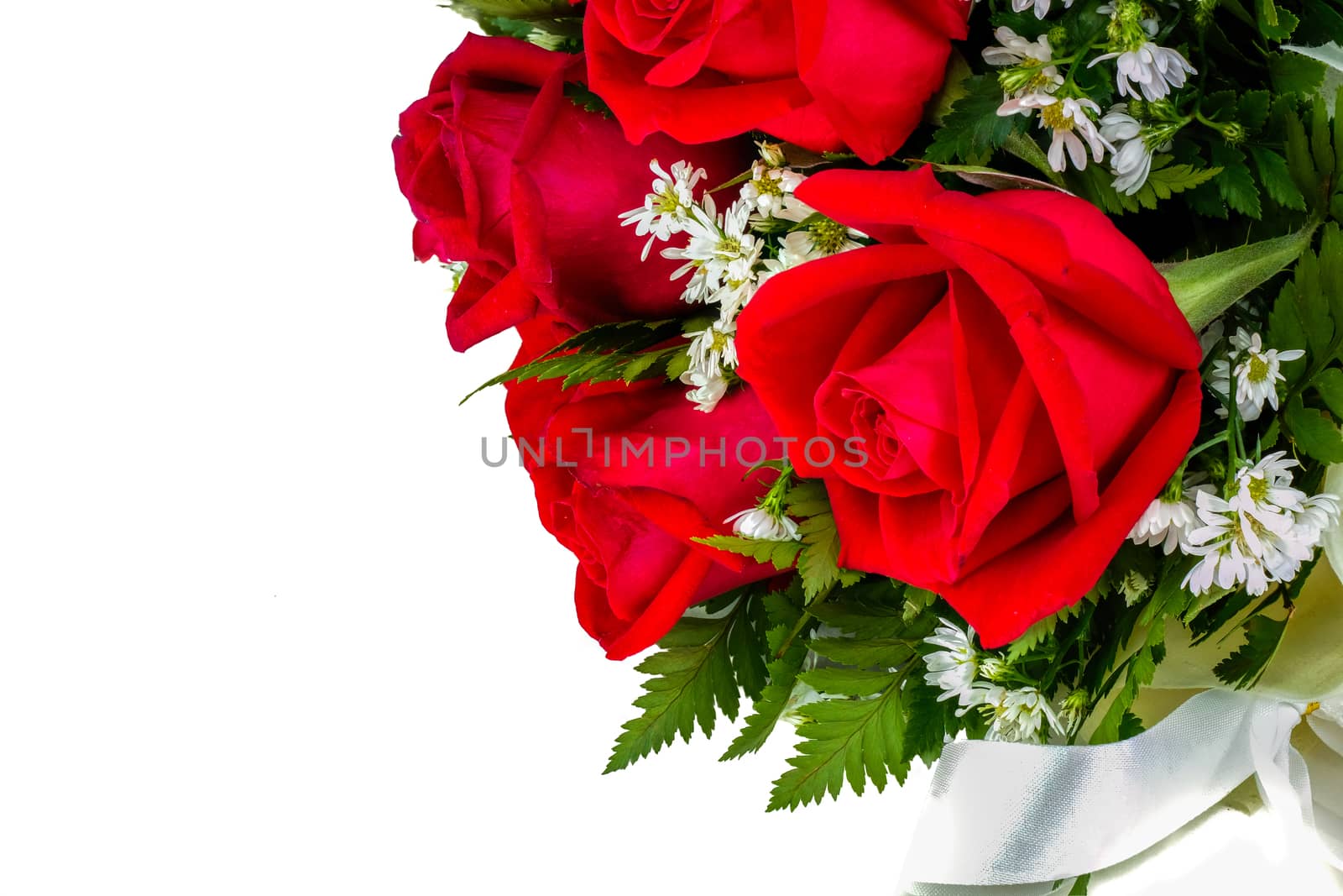 closeup image of a bouquet of red roses, on white background