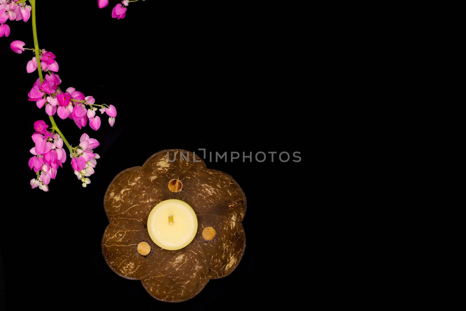 a handmade coconut shell tray, a natural wax fragrance white candle, and vine flowers in dark background