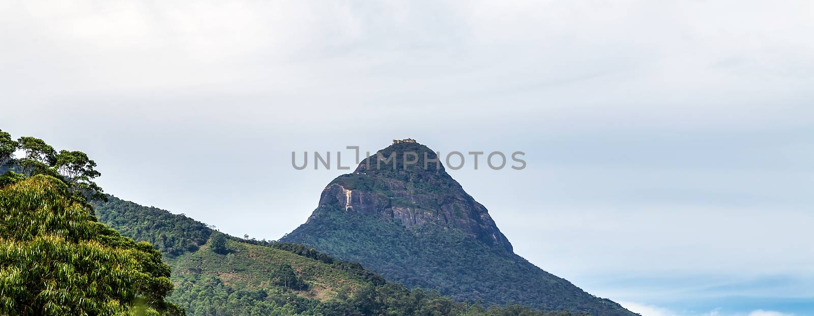 Sunrise over Adam's peak, Sri Lanka, mountain in the fog view from the jungle. Mountain landscape.