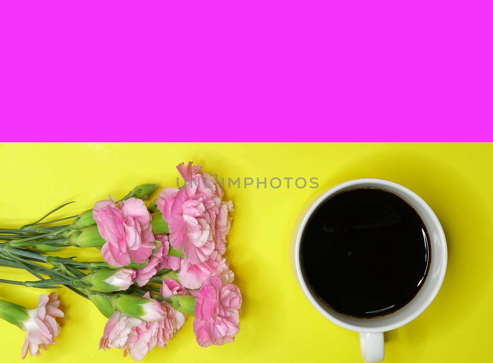 A cup of black coffee and a branch of beautiful pink carnations on a yellow and magenta background. Directly above, flatlay with empty space.