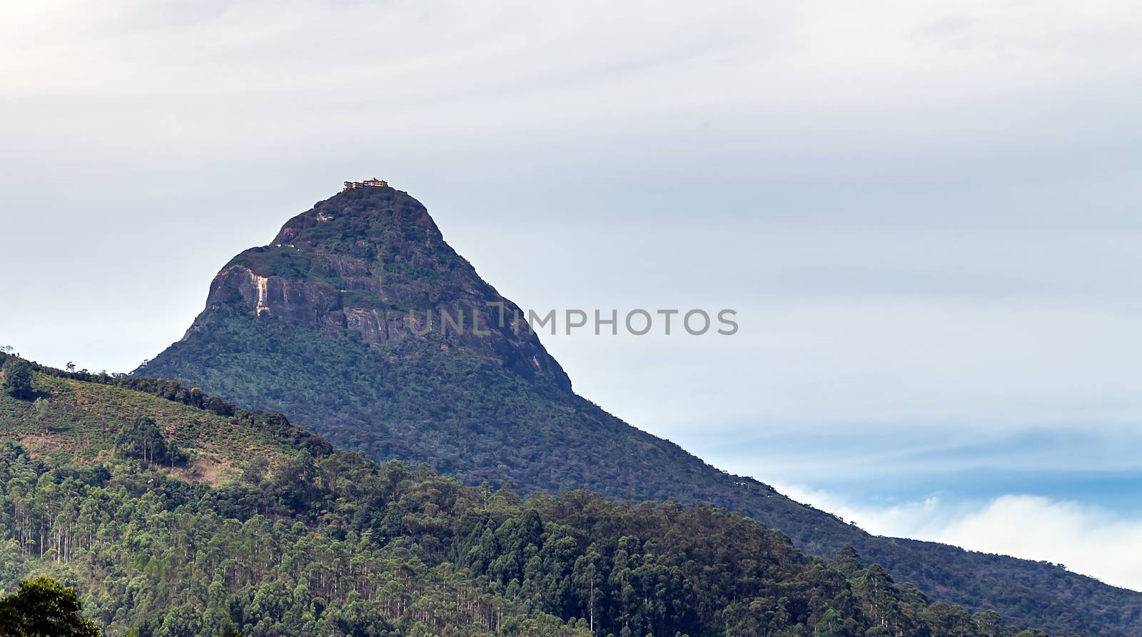 Sunrise over Adam's peak, Sri Lanka, mountain in the fog view from the jungle. Mountain landscape.