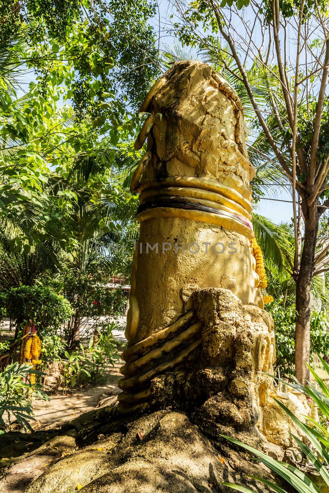 Gold sculpture of phallus Close up on Koh Samui island, Thailand