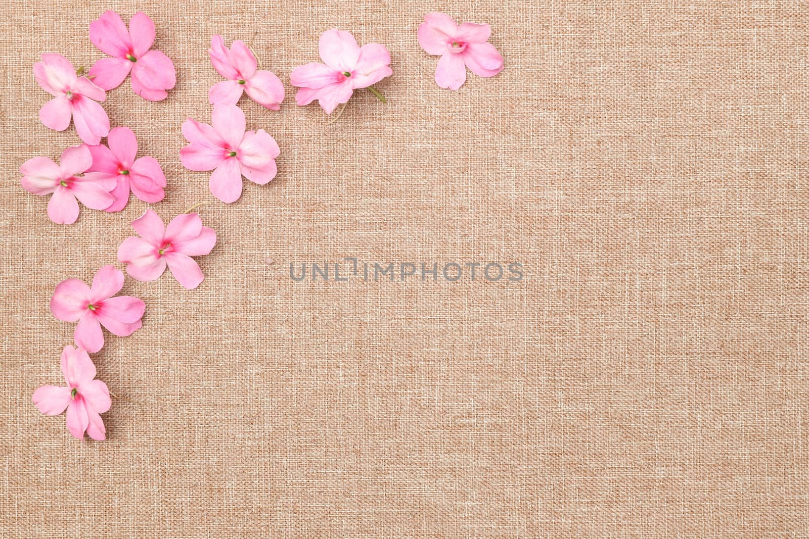 flower and linen cloth background by Nawoot