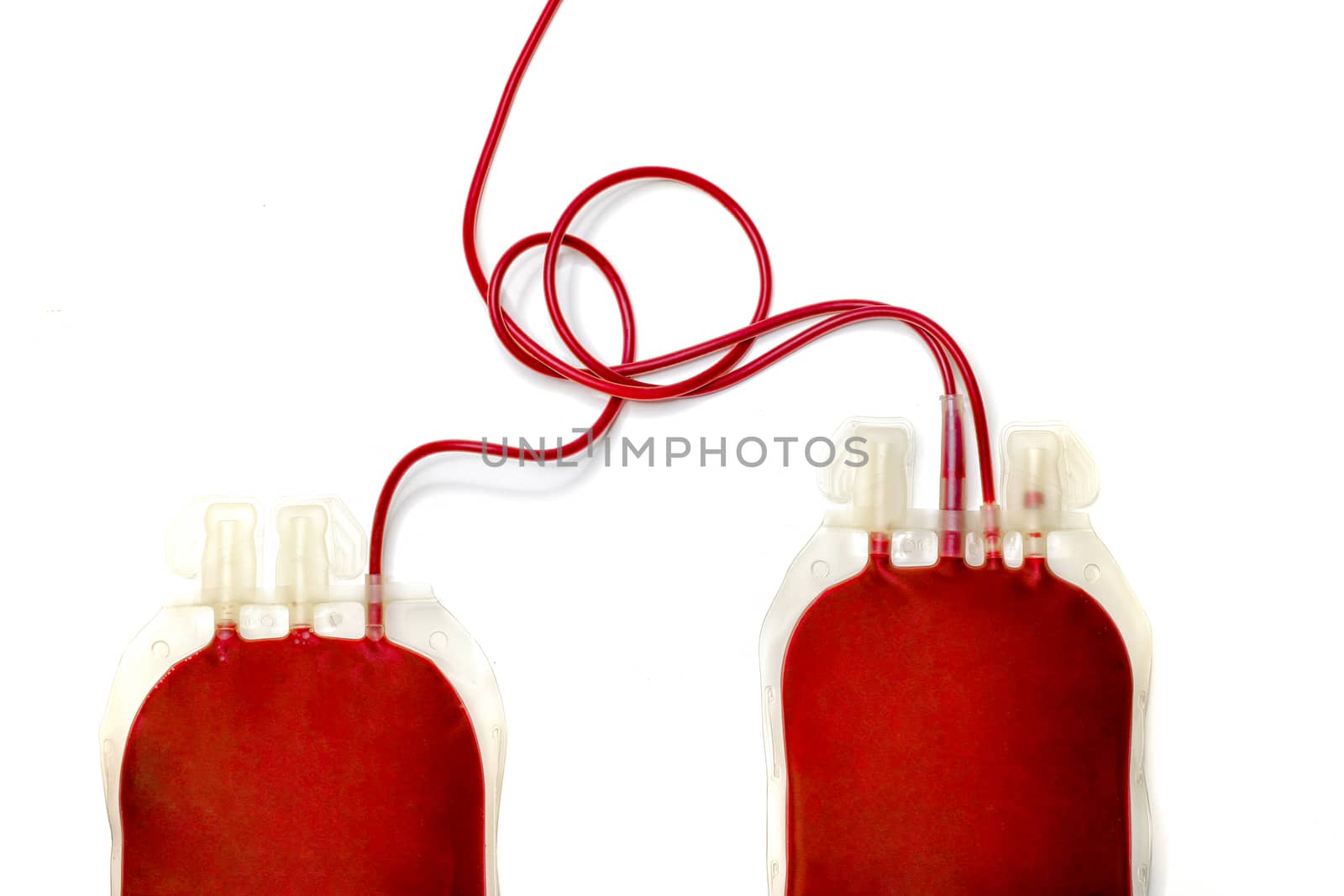 two plastic bags filled with fresh red blood isolated on white background. Blood donation, letting, transfusion, concept