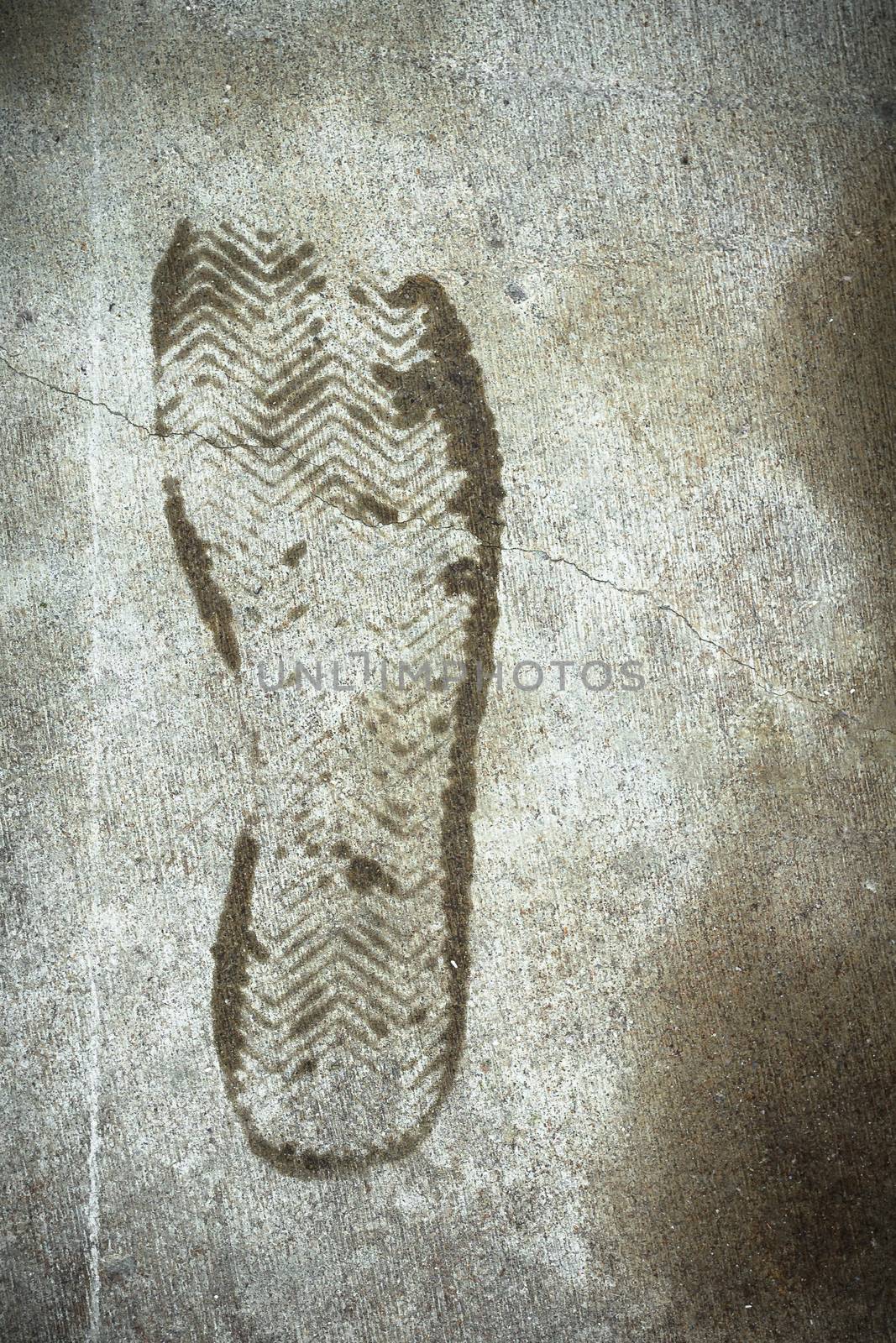 An imprint of a shoe wet on the road.