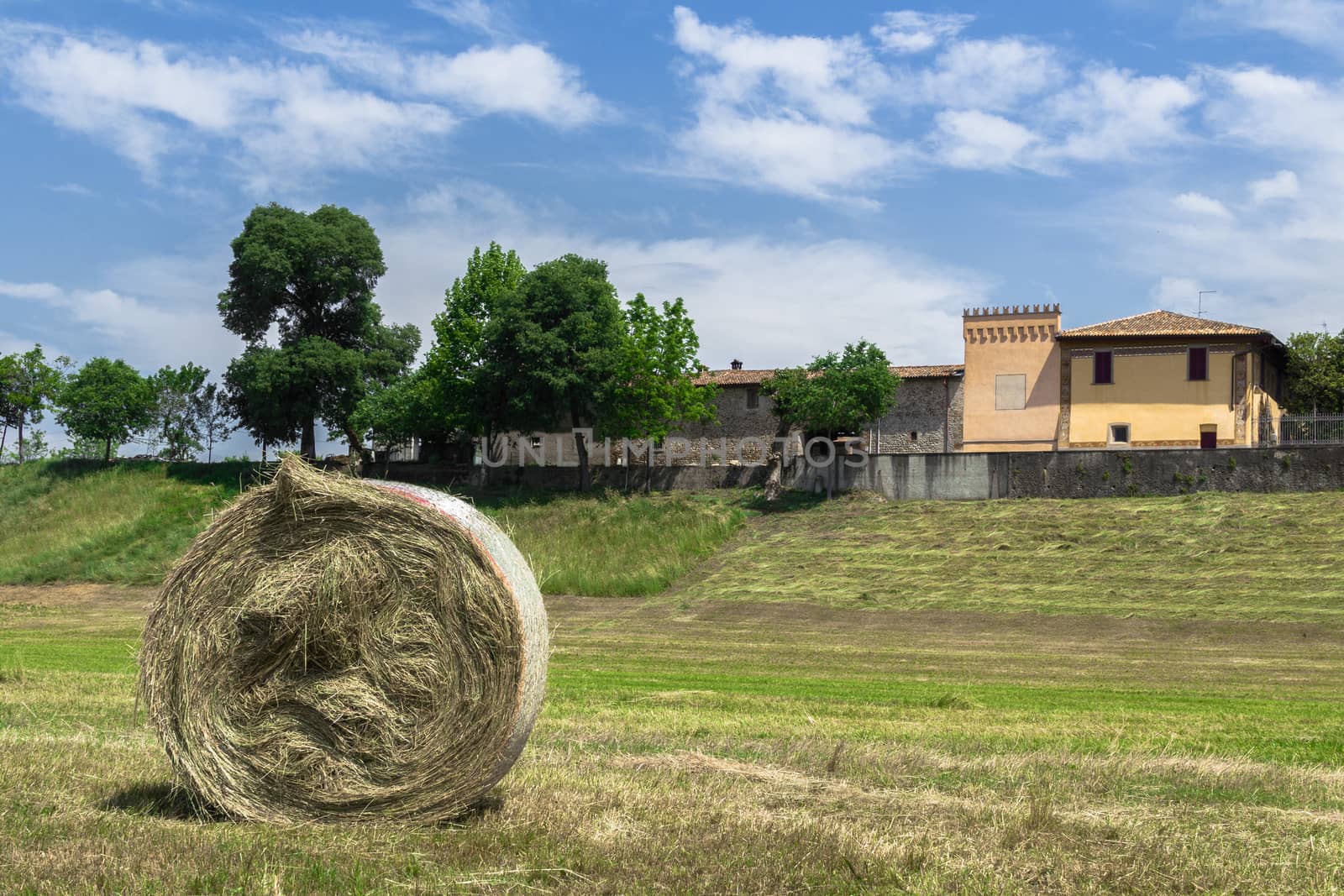 Bale of hay by germanopoli