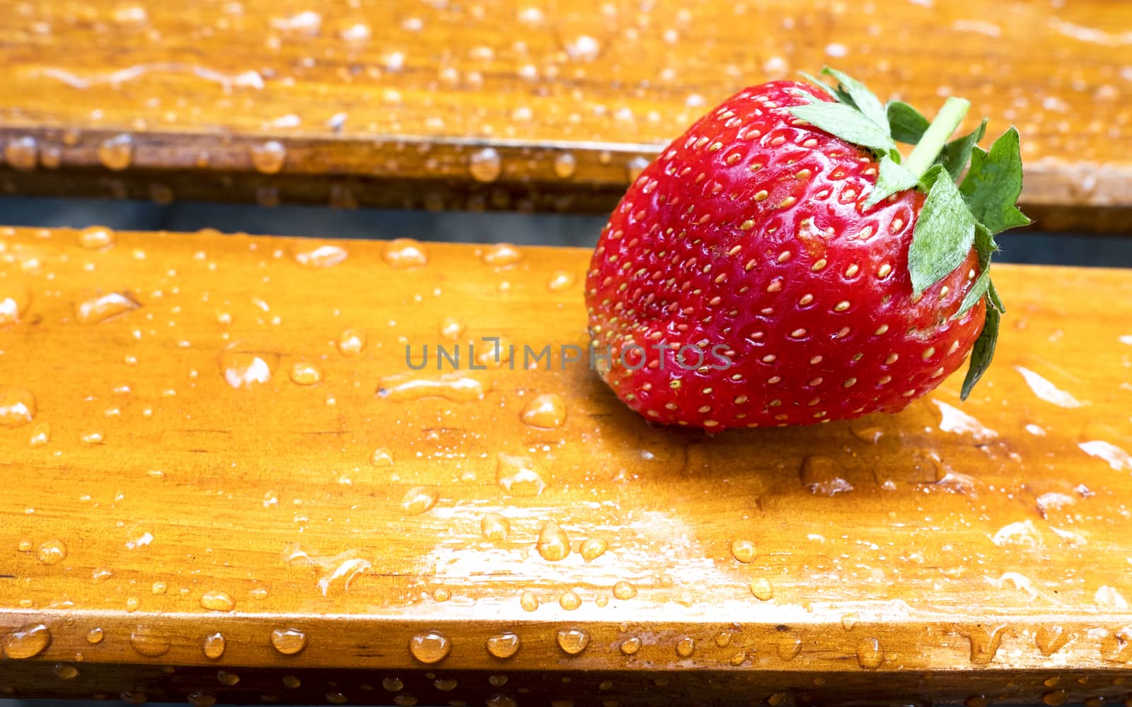 a fresh strawberry on a wet garden bench, with copy space