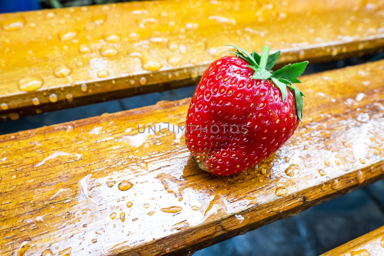 a fresh strawberry on a wet garden bench, with copy space