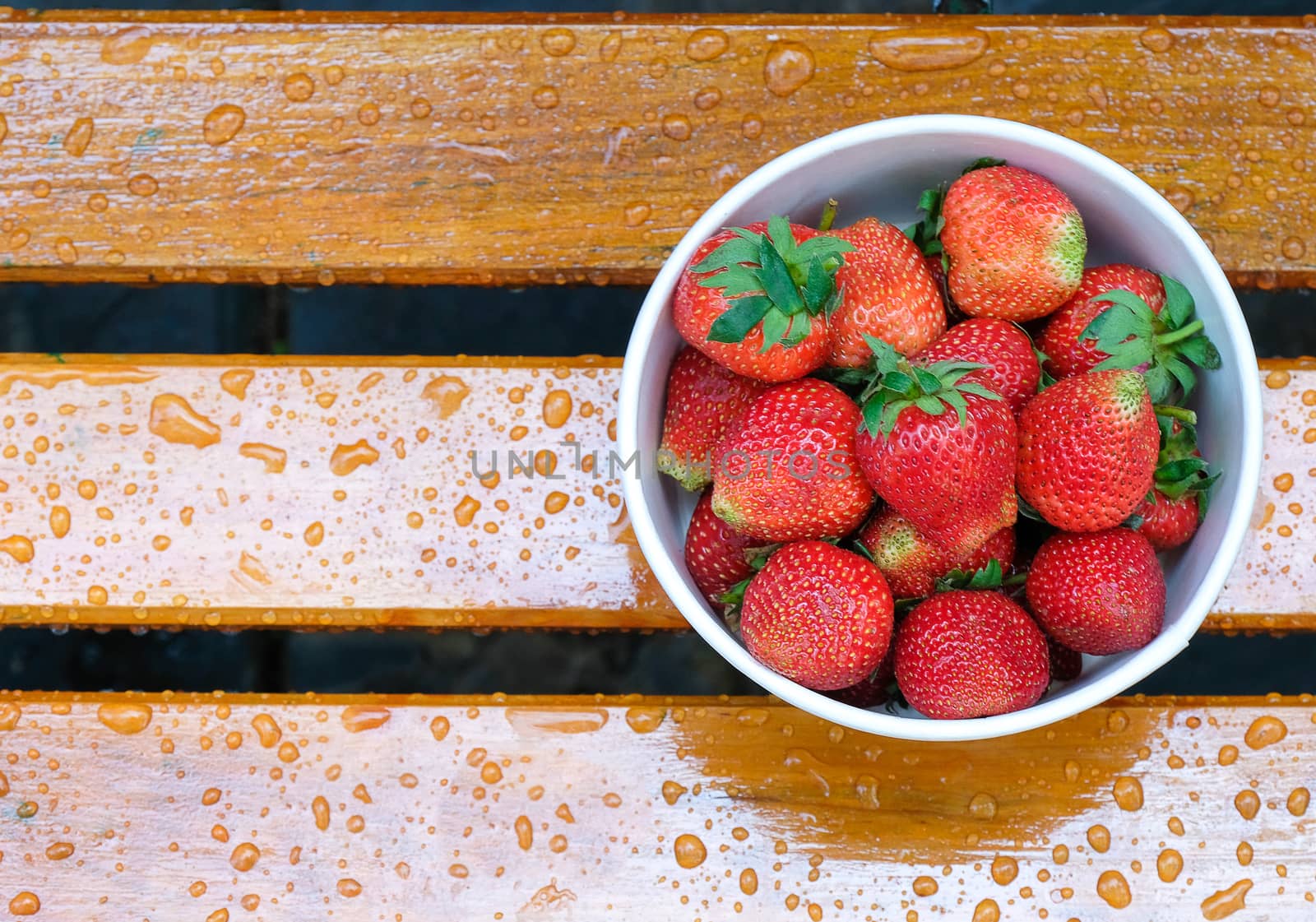 a bucket of ripe, fresh strawberries on a wet garden bench, natural light, with copy space