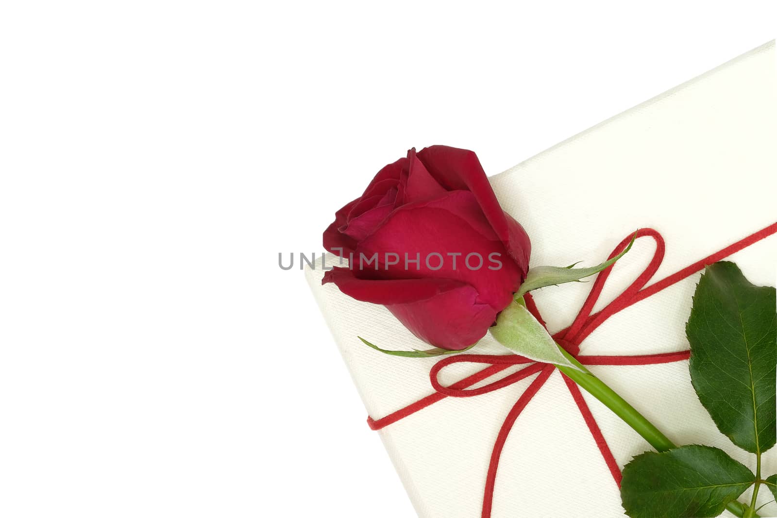 a beautiful red rose on a white paper box, isolated on white background