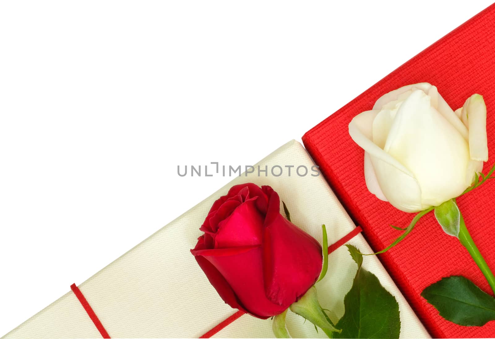 two beautiful roses on paper boxes, isolated on white background