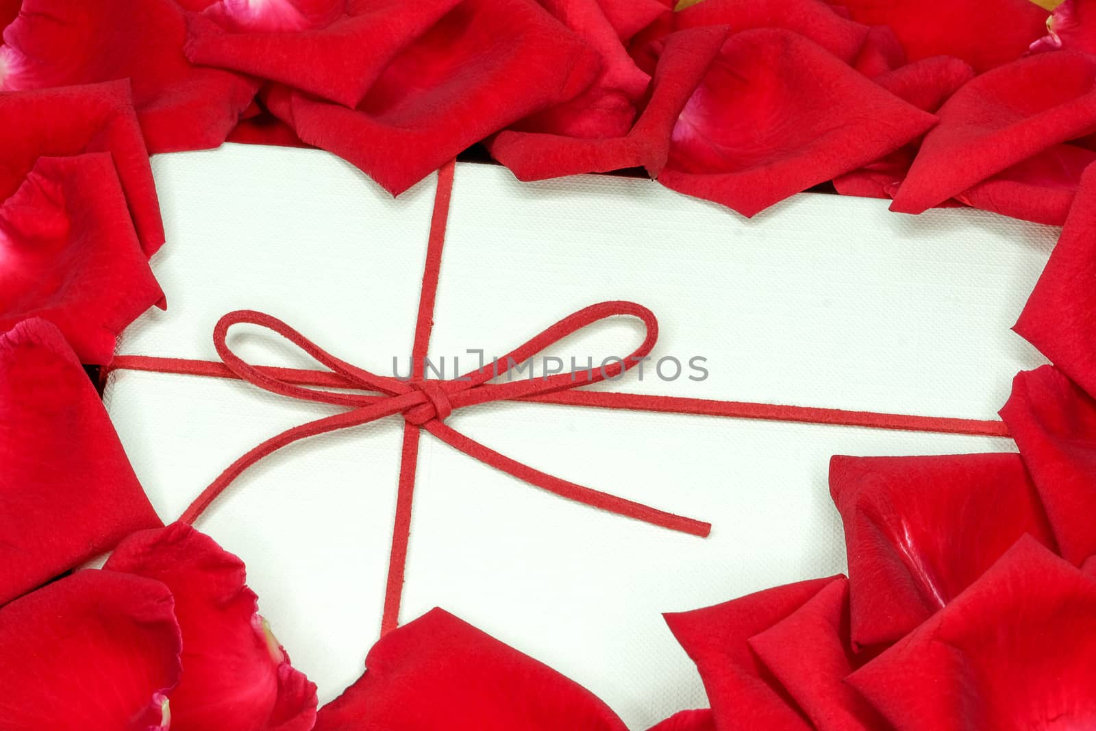 a white box surrounded by red rose petals