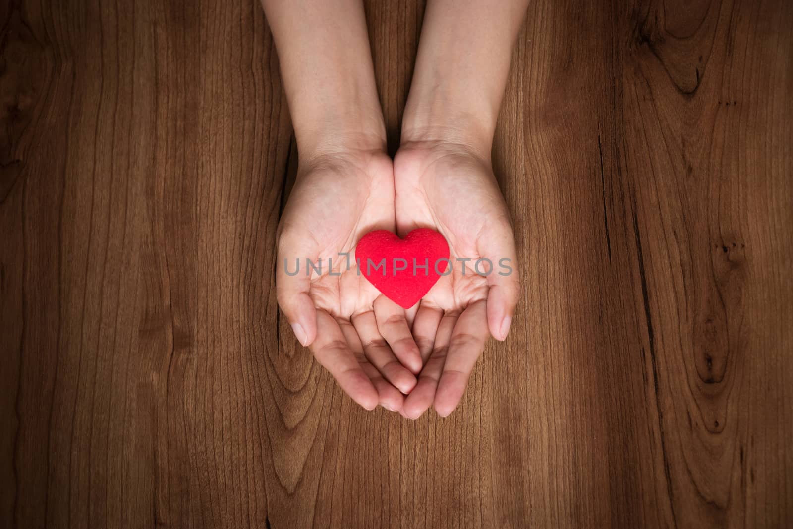 female hands holding red heart. valentine day, health care, donate concept, world heart day. by asiandelight