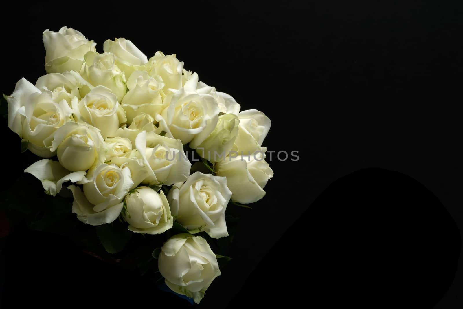 beautiful bouquet of white rose on dark background