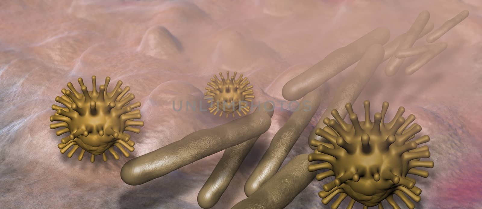 Virus and bacterium by vitanovski