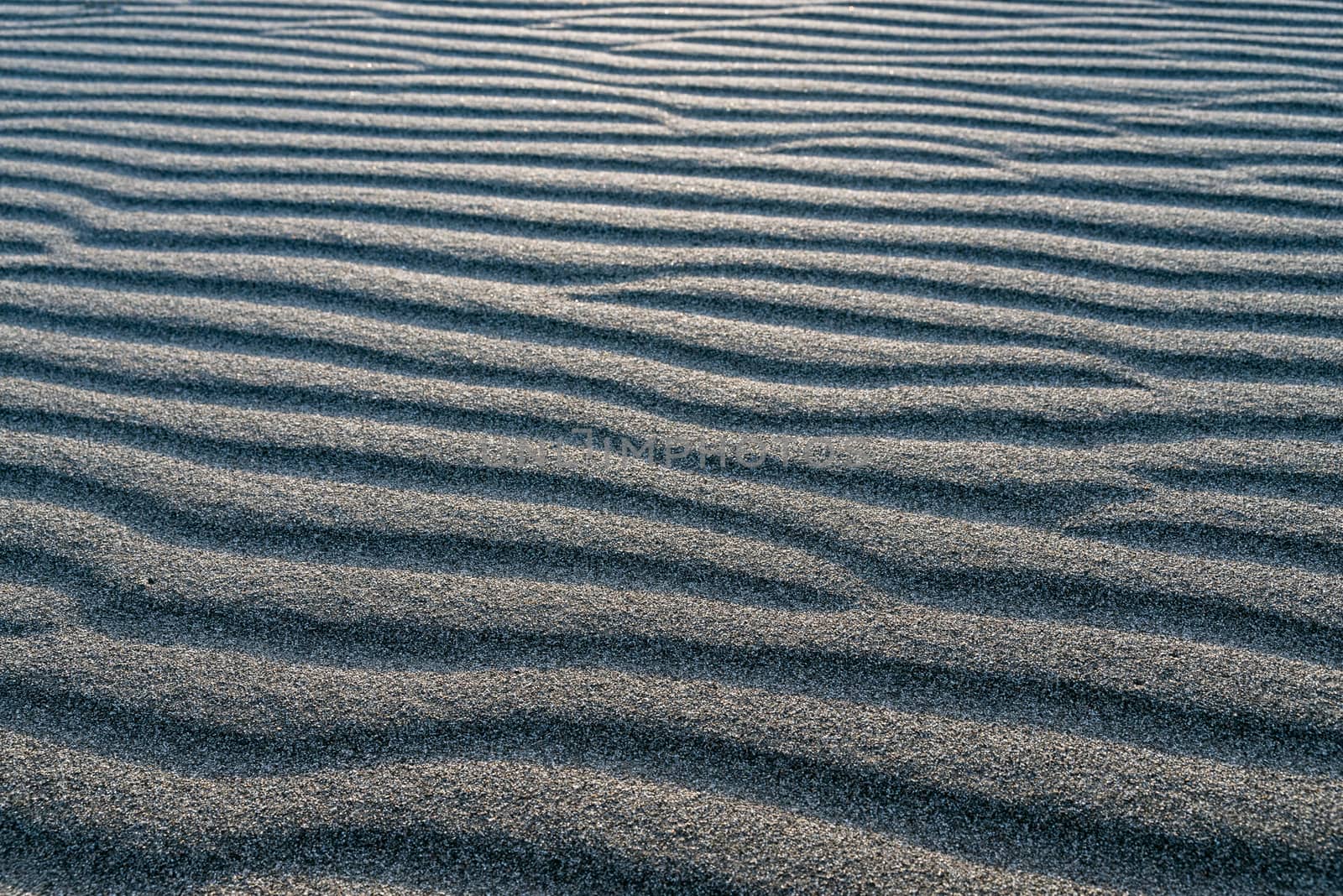 The rolling sands of Bruneau Dunes, Idaho.