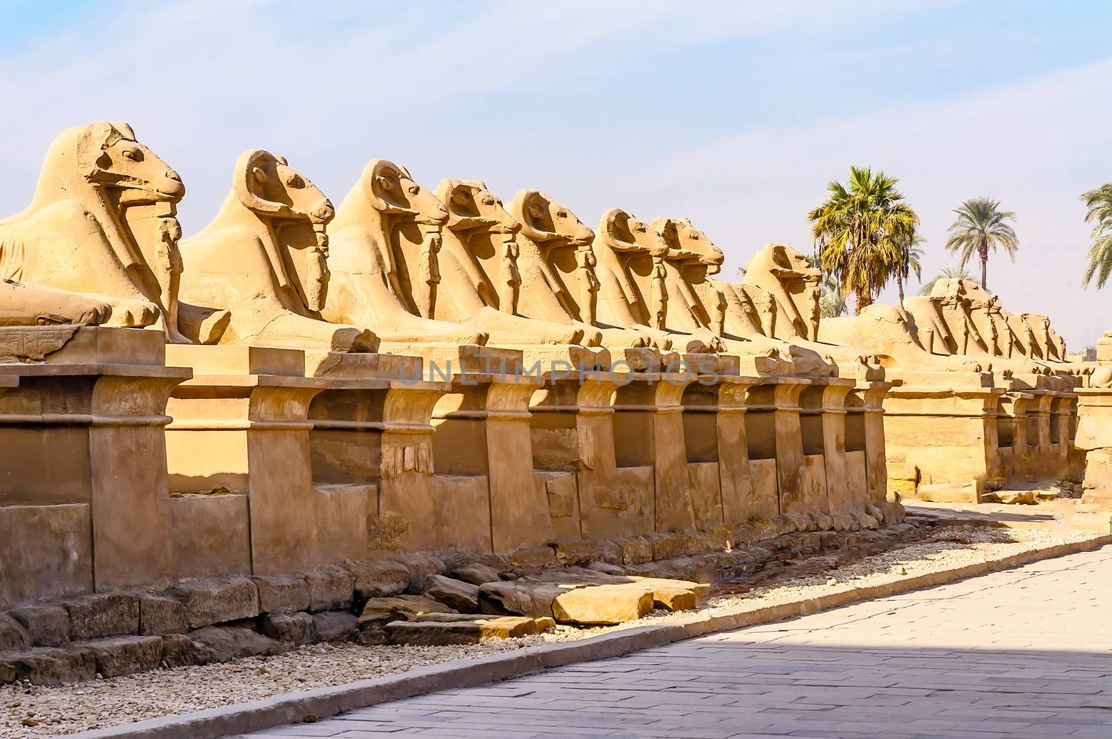 Rams in the Karnak temple in Luxor, Egypt by MaxalTamor