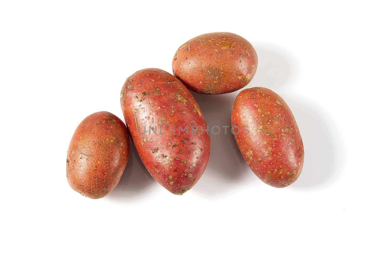 Raw red potato isolated on white background. top view. Pile of red potatoes isolated on white background. by PhotoTime