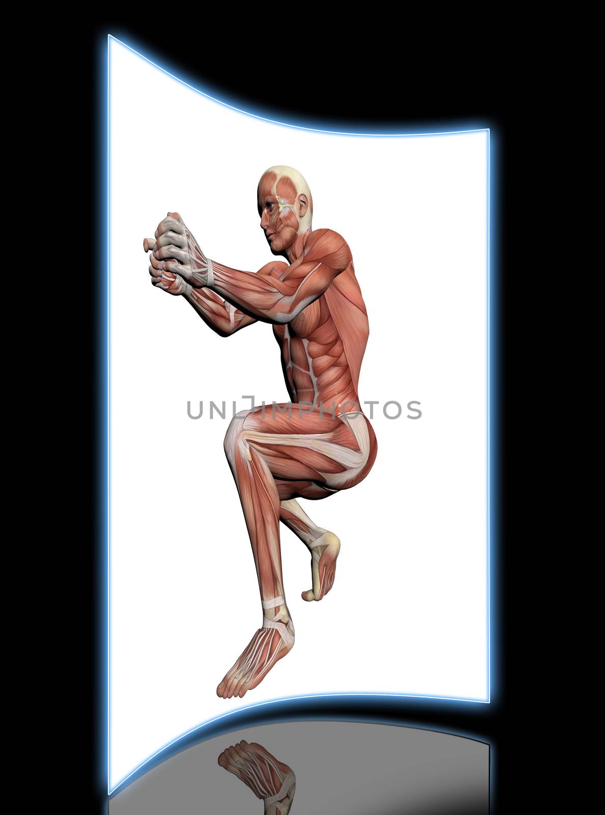 Human Anatomy - Female Muscles made in 3d software