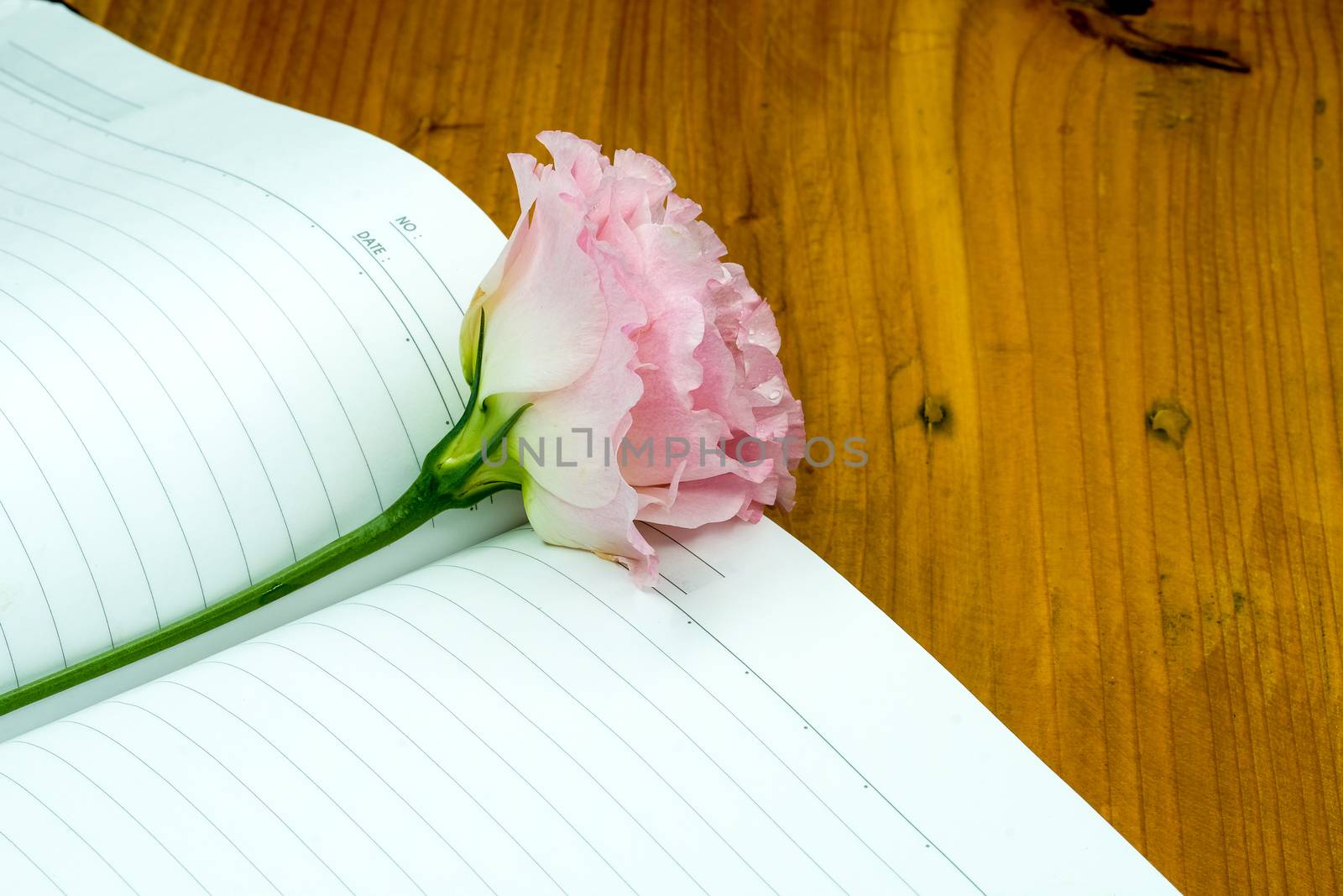 a flower and a notebook by Nawoot