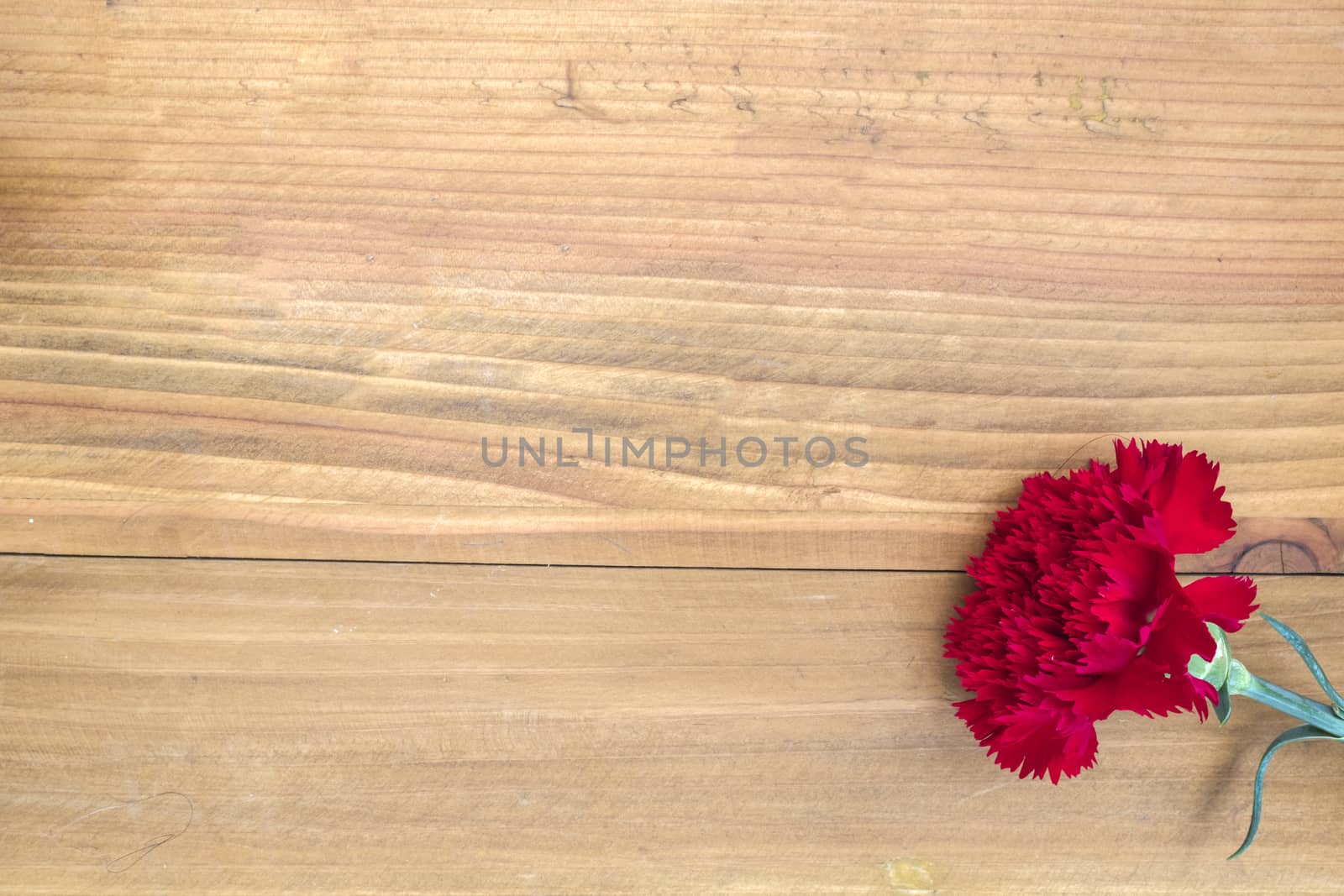 a red carnation on a natural brown wooden table background, top view