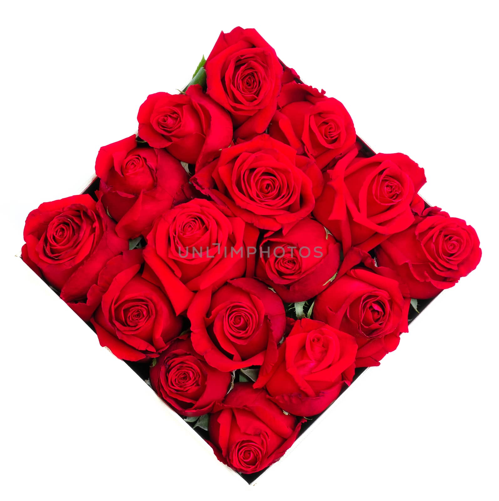 a box of red roses on white background
