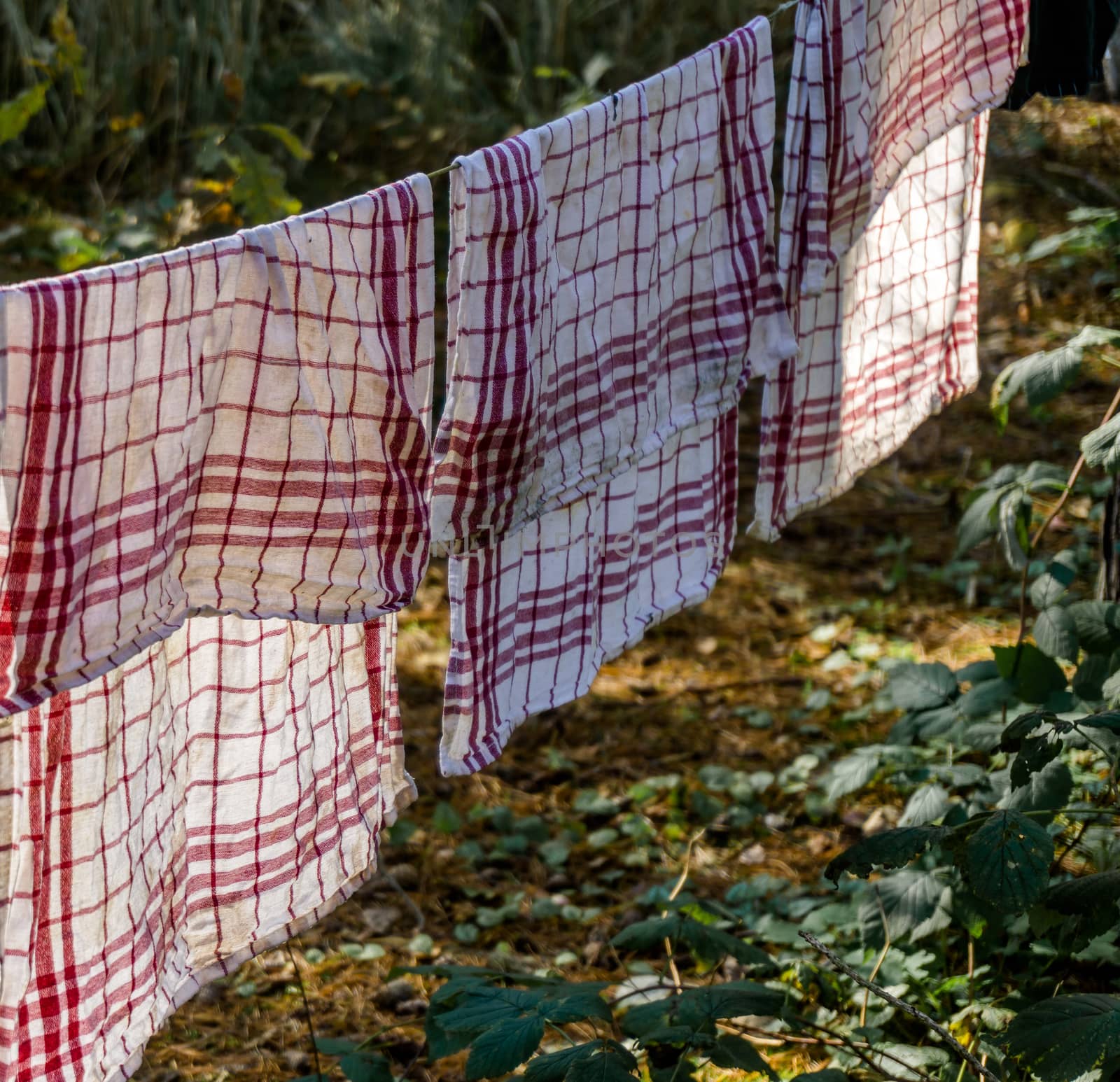 Dishcloths dry on a laundry in the forest