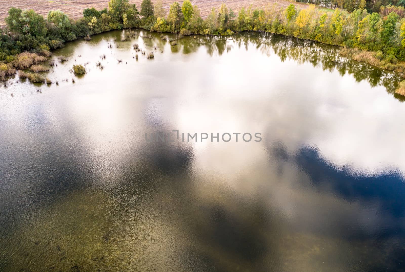 Aerial photograph of the reflecting clouds in a lake, trees on the pond shore, taken with a flying drone