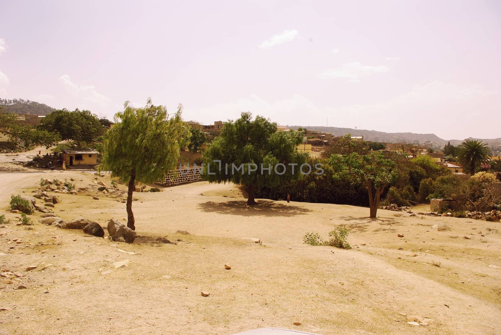 Eritrea, Africa - 08/10/2019: Travelling around the vilages near Asmara and Massawa. An amazing caption of the trees, mountains and some old typical houses with very hot climate in Eritrea.