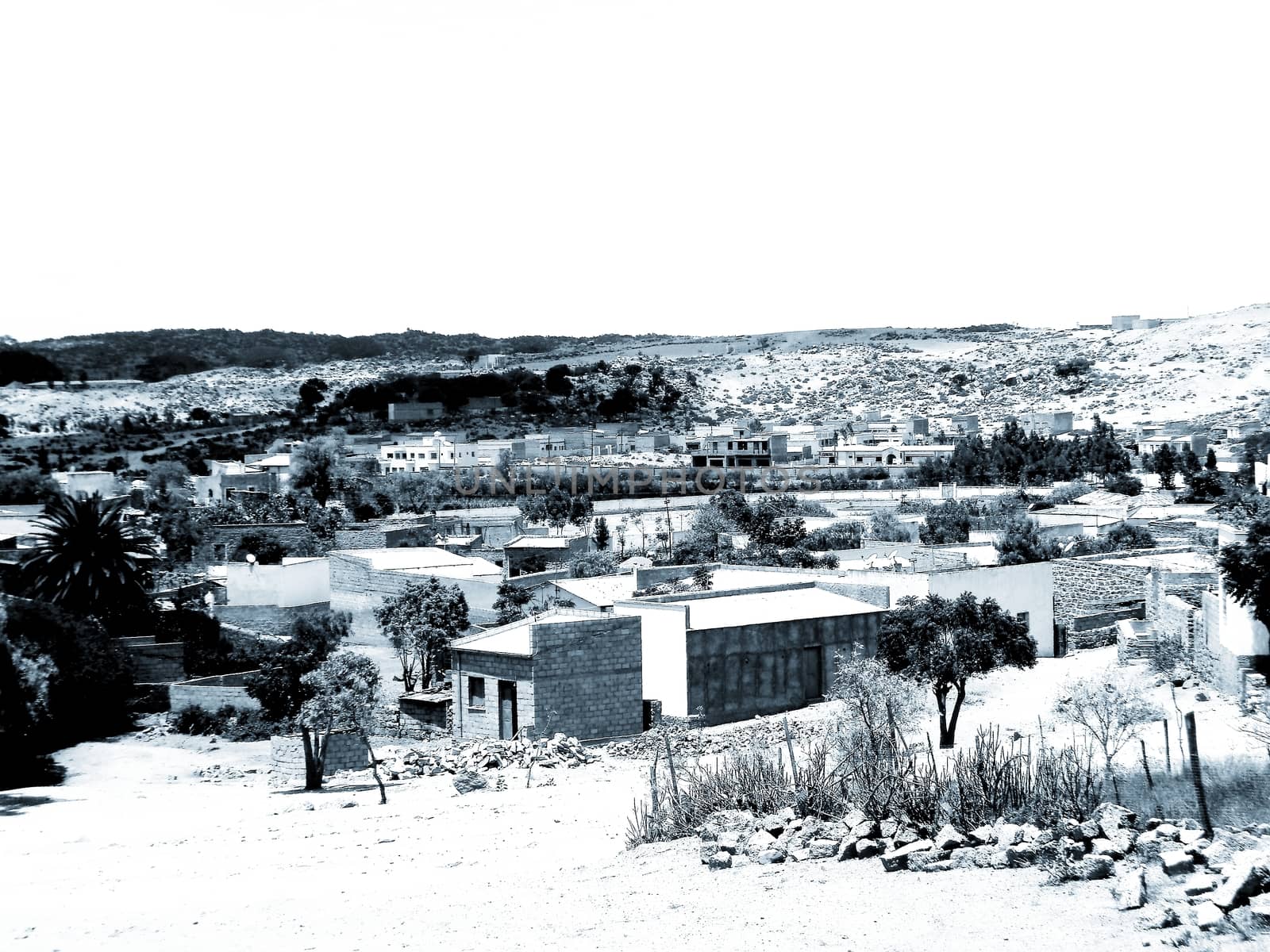 Eritrea, Africa - 08/10/2019: Travelling around the vilages near Asmara and Massawa. An amazing caption of the trees, mountains and some old typical houses with very hot climate in Eritrea.