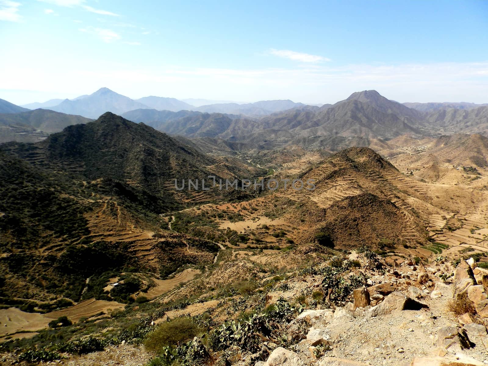 Eritrea, Africa - 08/10/2019: Travelling around the vilages near Asmara and Massawa. An amazing caption of the trees, mountains and some old typical houses with very hot climate in Eritrea.