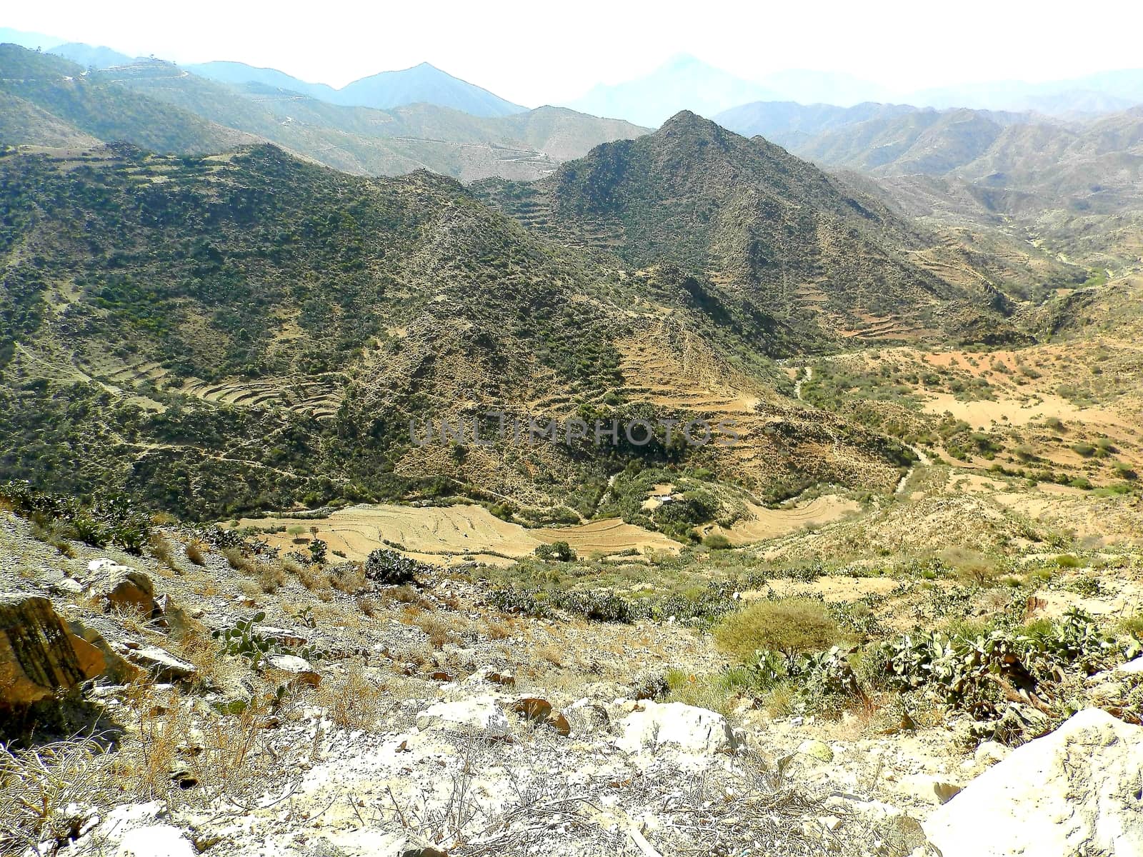 Eritrea, Africa - 08/10/2019: Travelling around the vilages near Asmara and Massawa. An amazing caption of the trees, mountains and some old typical houses with very hot climate in Eritrea.