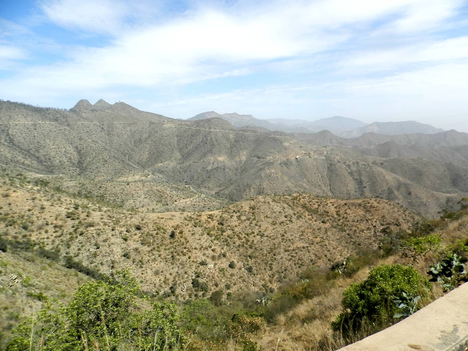 Eritrea, Africa - 08/10/2019: Travelling around the vilages near Asmara and Massawa. An amazing caption of the trees, mountains and some old typical houses with very hot climate in Eritrea.