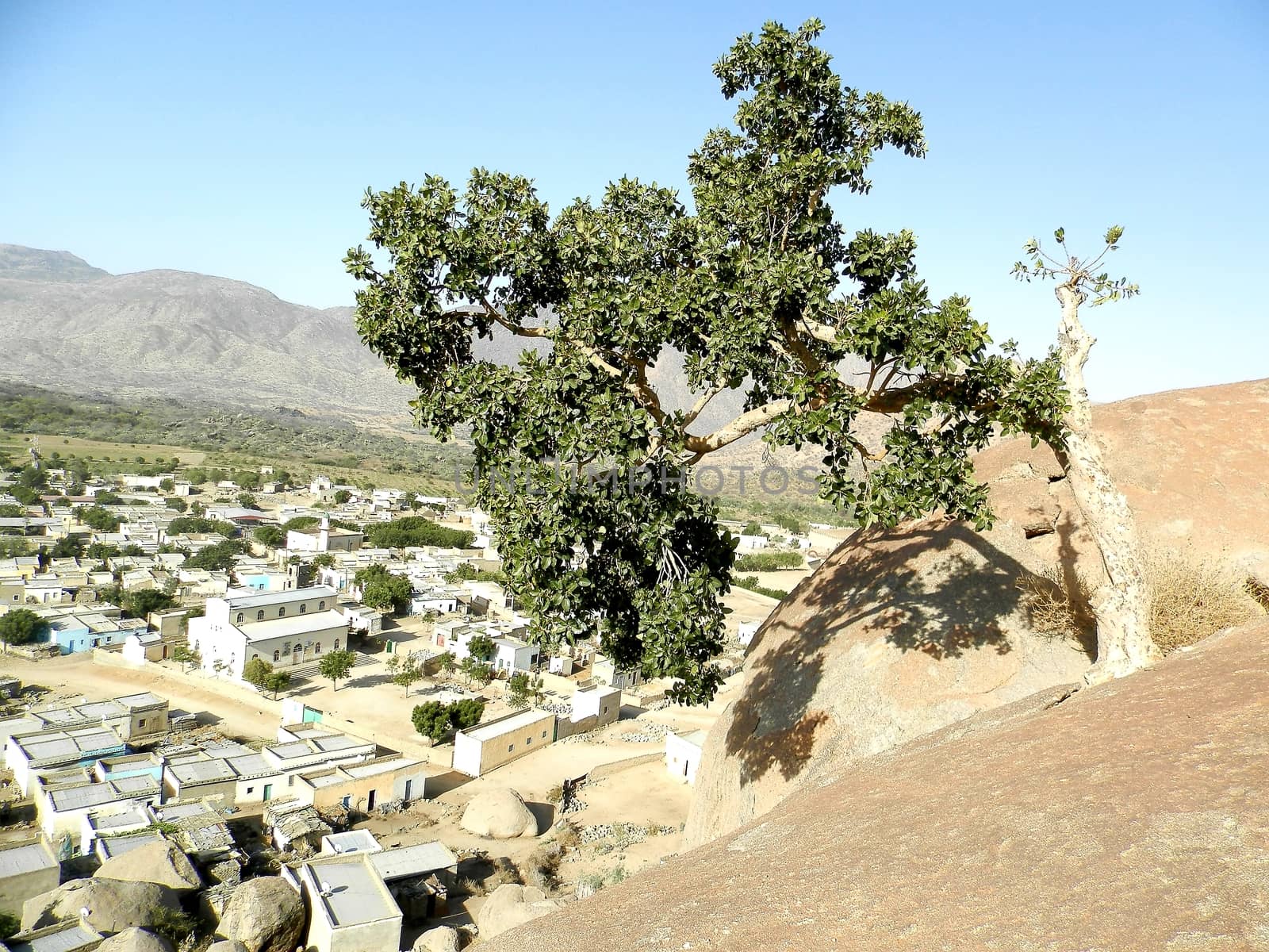 Eritrea, Africa - 08/10/2019: Travelling around the vilages near Asmara and Massawa. An amazing caption of the trees, mountains and some old typical houses with very hot climate in Eritrea.