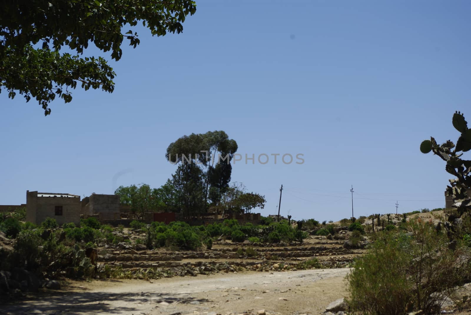 Eritrea, Africa - 08/10/2019: Travelling around the vilages near Asmara and Massawa. An amazing caption of the trees, mountains and some old typical houses with very hot climate in Eritrea.