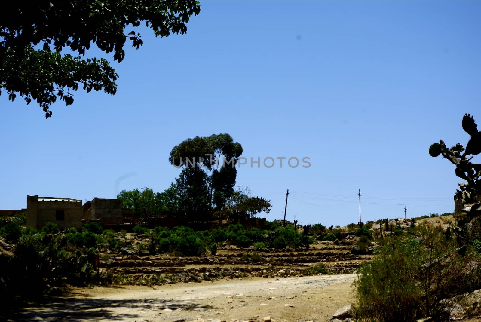 Eritrea, Africa - 08/10/2019: Travelling around the vilages near Asmara and Massawa. An amazing caption of the trees, mountains and some old typical houses with very hot climate in Eritrea.