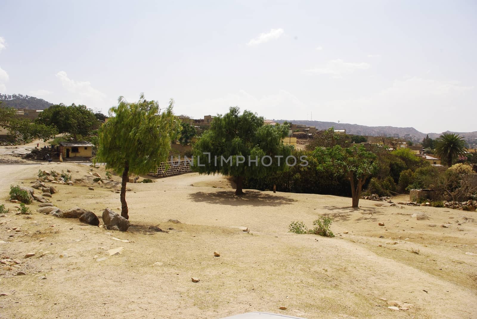 Eritrea, Africa - 08/10/2019: Travelling around the vilages near Asmara and Massawa. An amazing caption of the trees, mountains and some old typical houses with very hot climate in Eritrea.