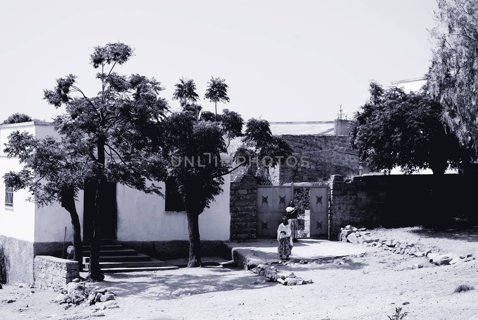 Eritrea, Africa - 08/10/2019: Travelling around the vilages near Asmara and Massawa. An amazing caption of the trees, mountains and some old typical houses with very hot climate in Eritrea.