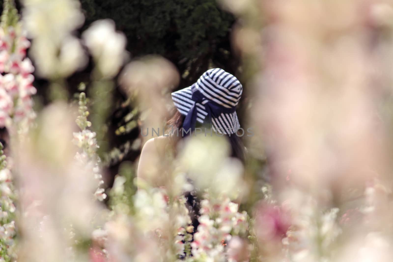 Rear view of the tourist woman standing for take a photo in the garden. Selective focus and blurred flowers.