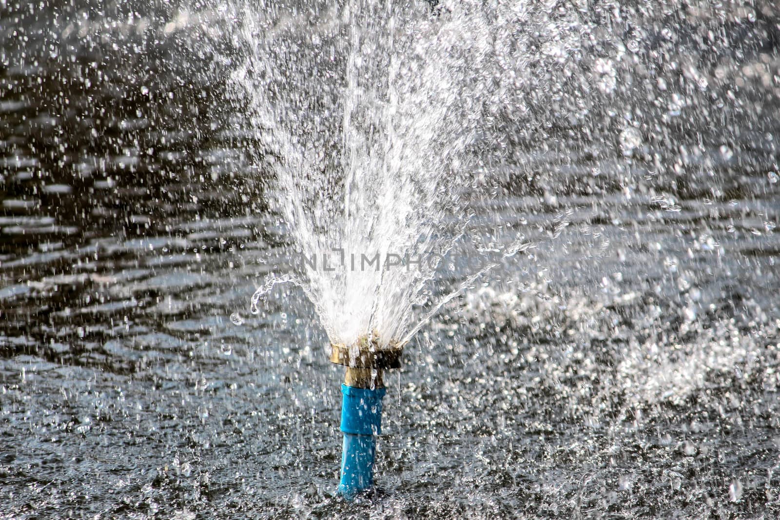 Close up view of sprinkler spraying water on blur background in garden. by TEERASAK