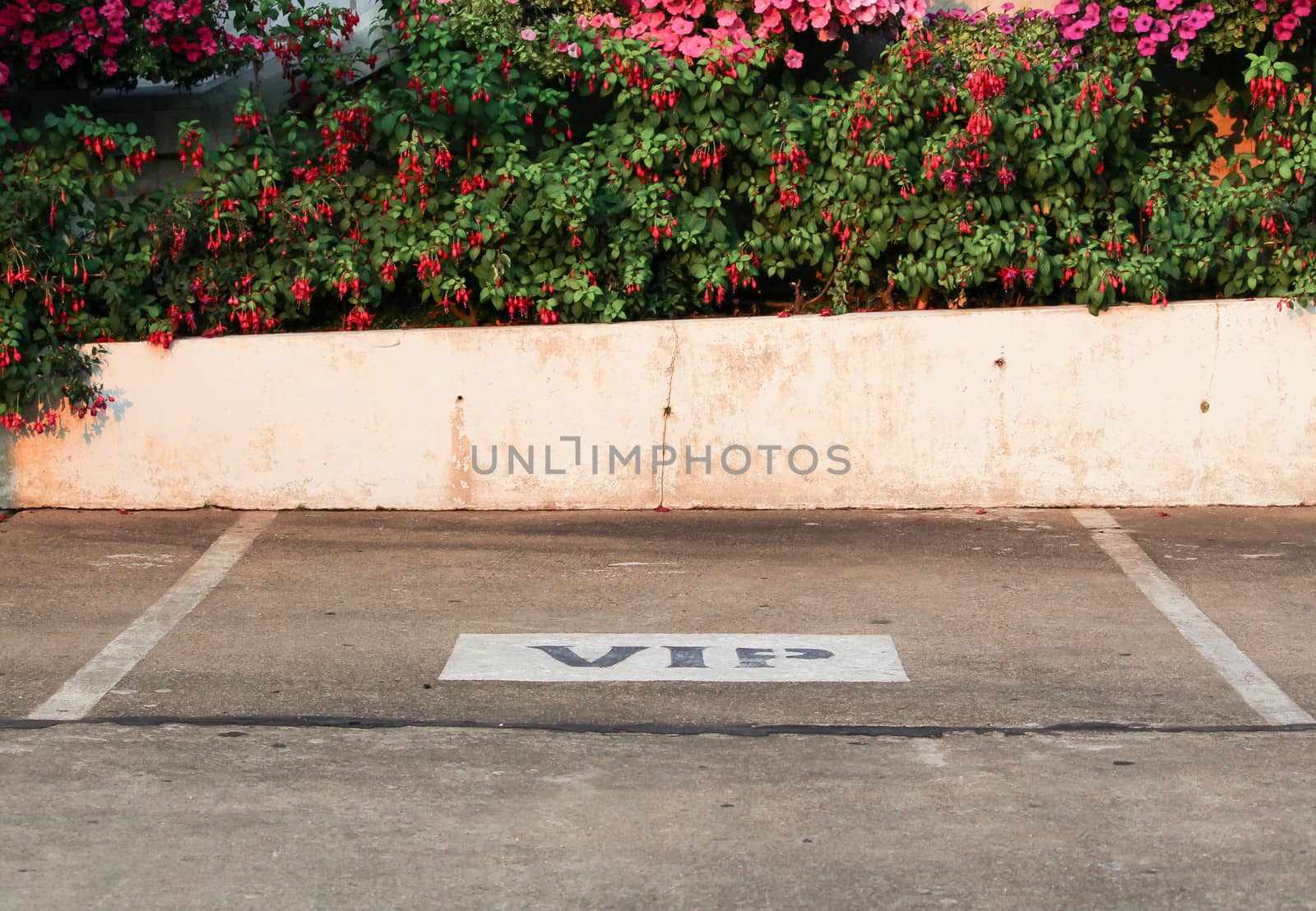 Empty parking in the garden for VIP tourist; Chiang Mai, Thailand.